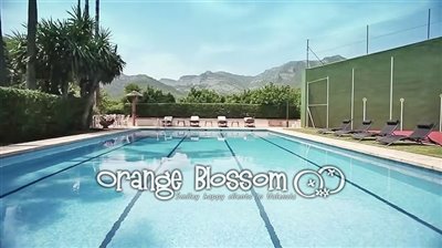 property36011630