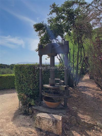 Image No.37-Villa de 8 chambres à vendre à Ontinyent