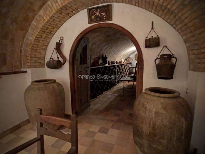 Image No.38-Villa de 8 chambres à vendre à Ontinyent