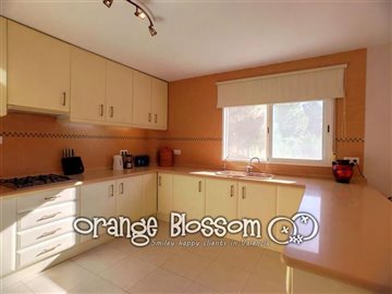 property36045204