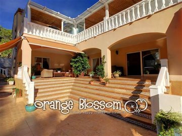 property36045836