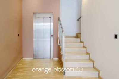 property240335351