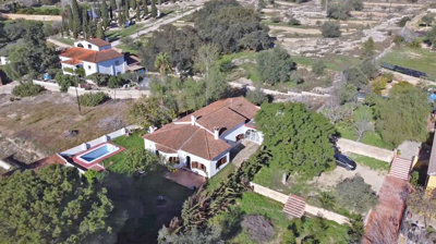 property219913533
