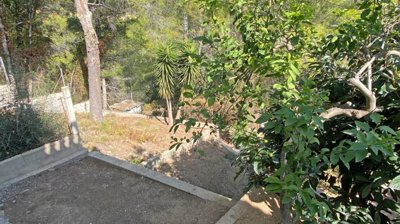 property196103517