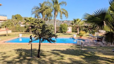 property226239472