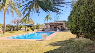 property226239885