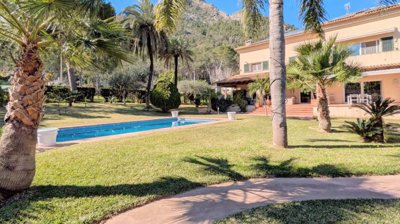 property226239576
