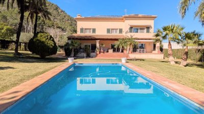 property226239863