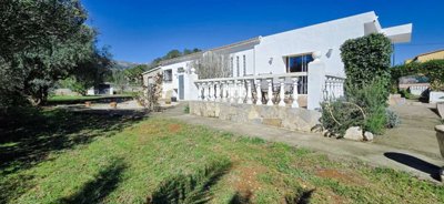 property227248342