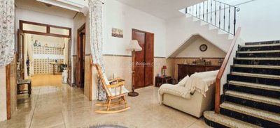 property234419528