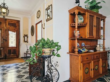 property234734528