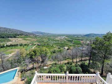 property234843931