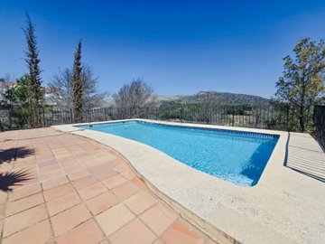 property234843605