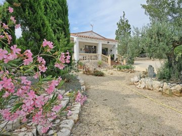 property235190754