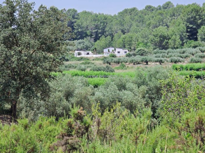 Image No.10-3 Bed Villa for sale