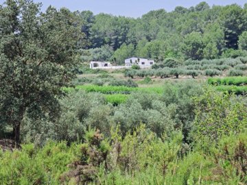 property235713220