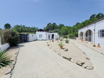 property235713837
