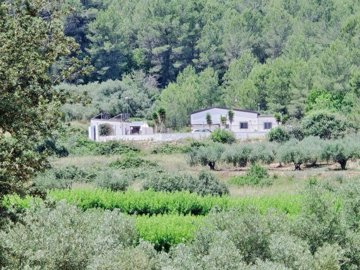 property235713792