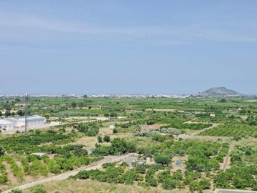 Orange Blossom Homes  most sold property