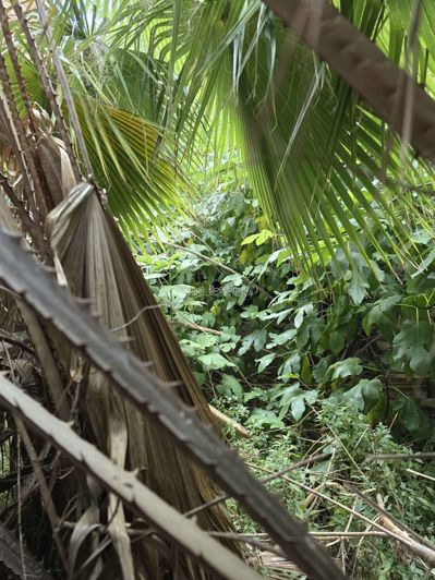 Image No.18-2 Bed Townhouse for sale