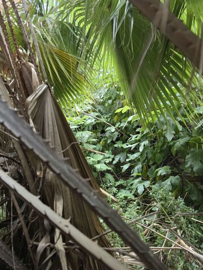 Image No.19-2 Bed Townhouse for sale