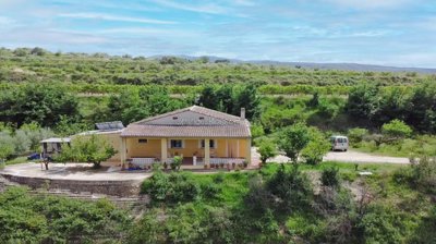 property237005211