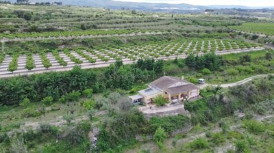 Orange Blossom Homes  most sold property