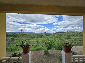 property237005134