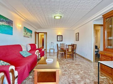 property245866595
