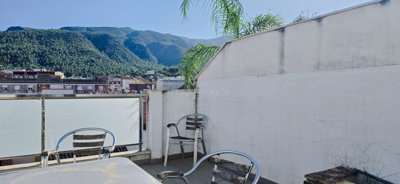 property246207683
