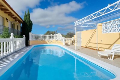 property248590511