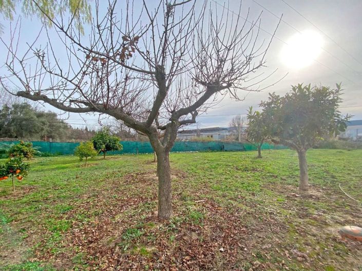 Image No.3-5 Bed Property for sale