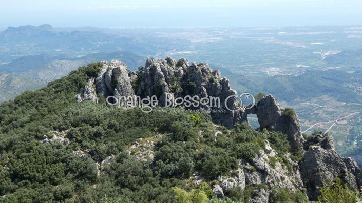 Image No.12-Chalet de 5 chambres à vendre à Villalonga