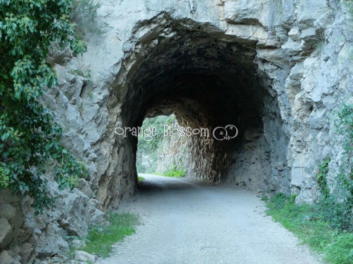 Image No.15-Chalet de 5 chambres à vendre à Villalonga