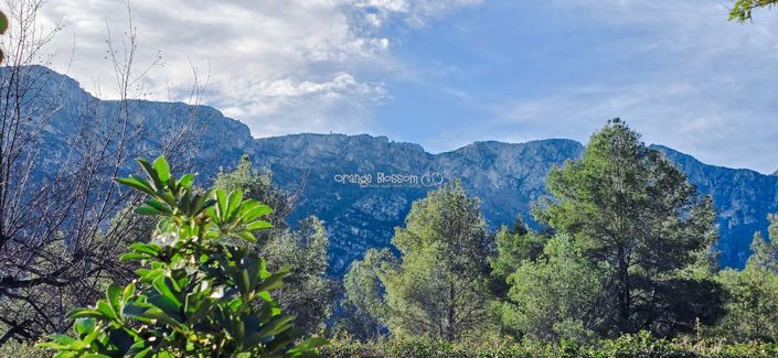 Image No.22-Chalet de 5 chambres à vendre à Villalonga