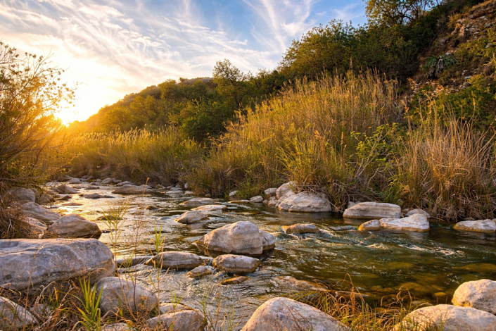 Image No.7-Chalet de 5 chambres à vendre à Villalonga