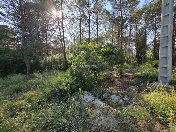 Image No.9-Property for sale