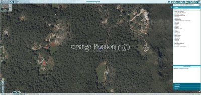 property261134163