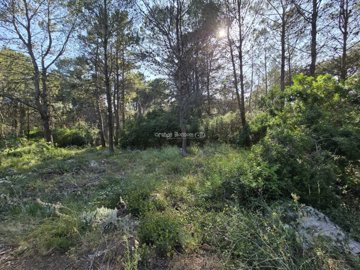 property261134113