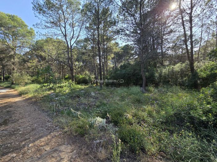Image No.2-Propriété à vendre à Villalonga