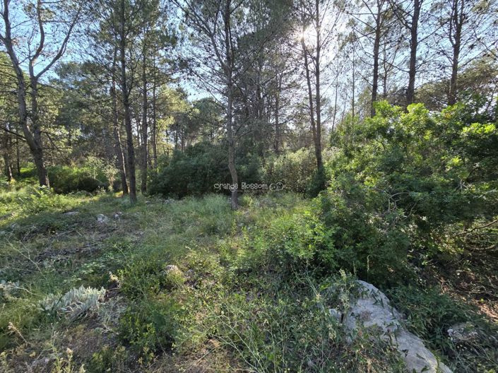 Image No.3-Propriété à vendre à Villalonga