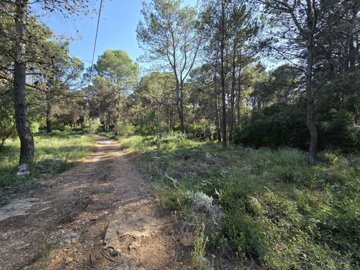 property26113413