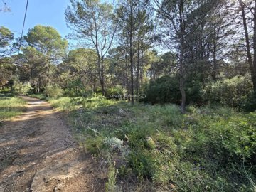property261134458