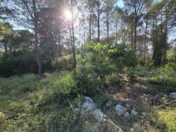 property26113490