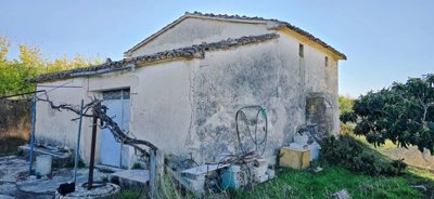 property248819233