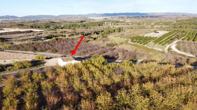 property248819743