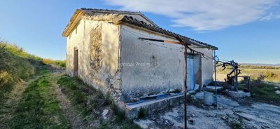 property248819753