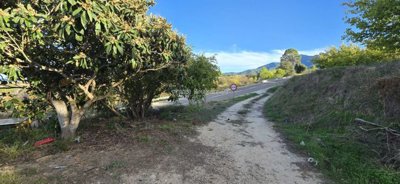 property248819894