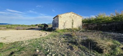 property248819685