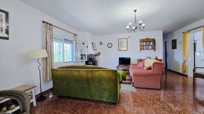 property271088782